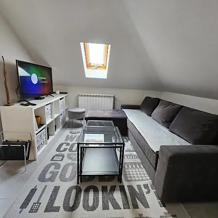 Dedinje Appartement