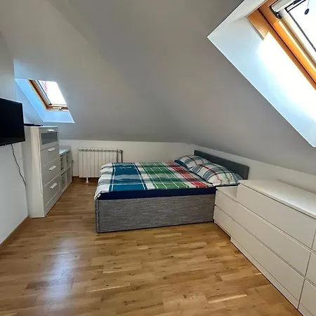 Appartement Dedinje *